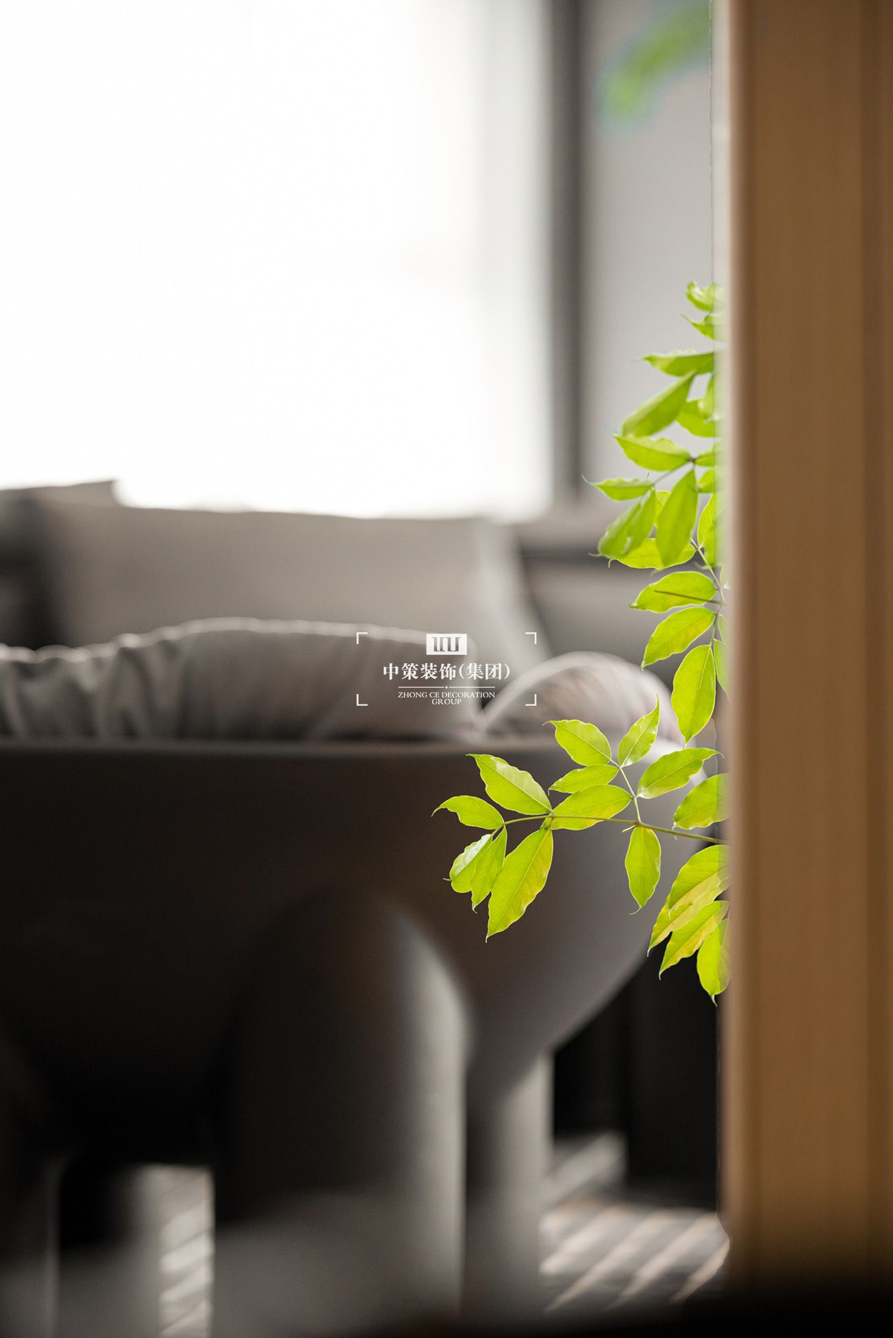 中策無色软装实景案例